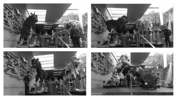 Lion'sMount&amp;Dismount(Sequence)